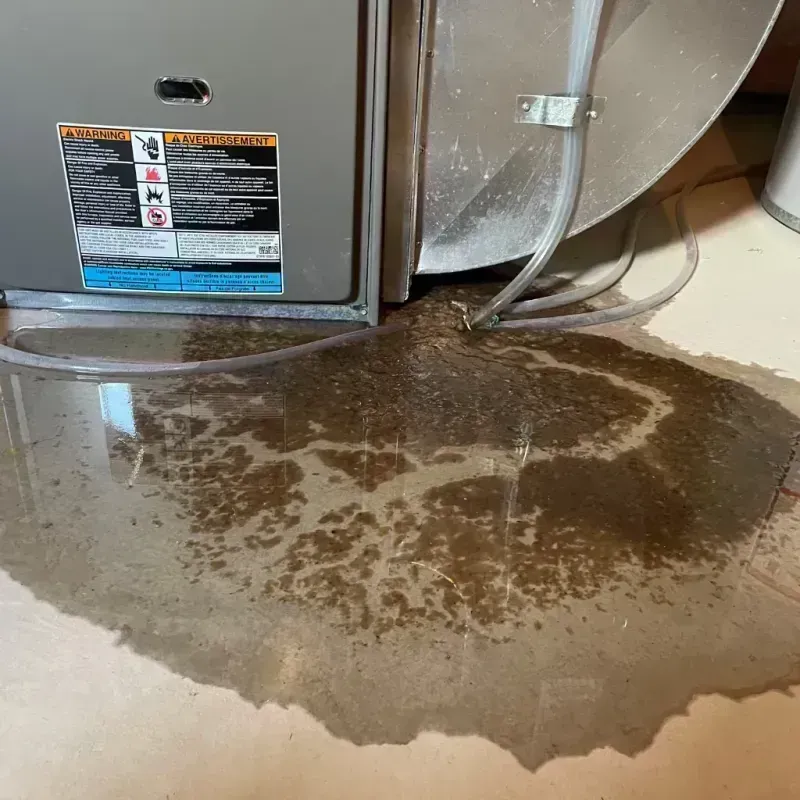 Appliance Leak Cleanup in Pinch, WV